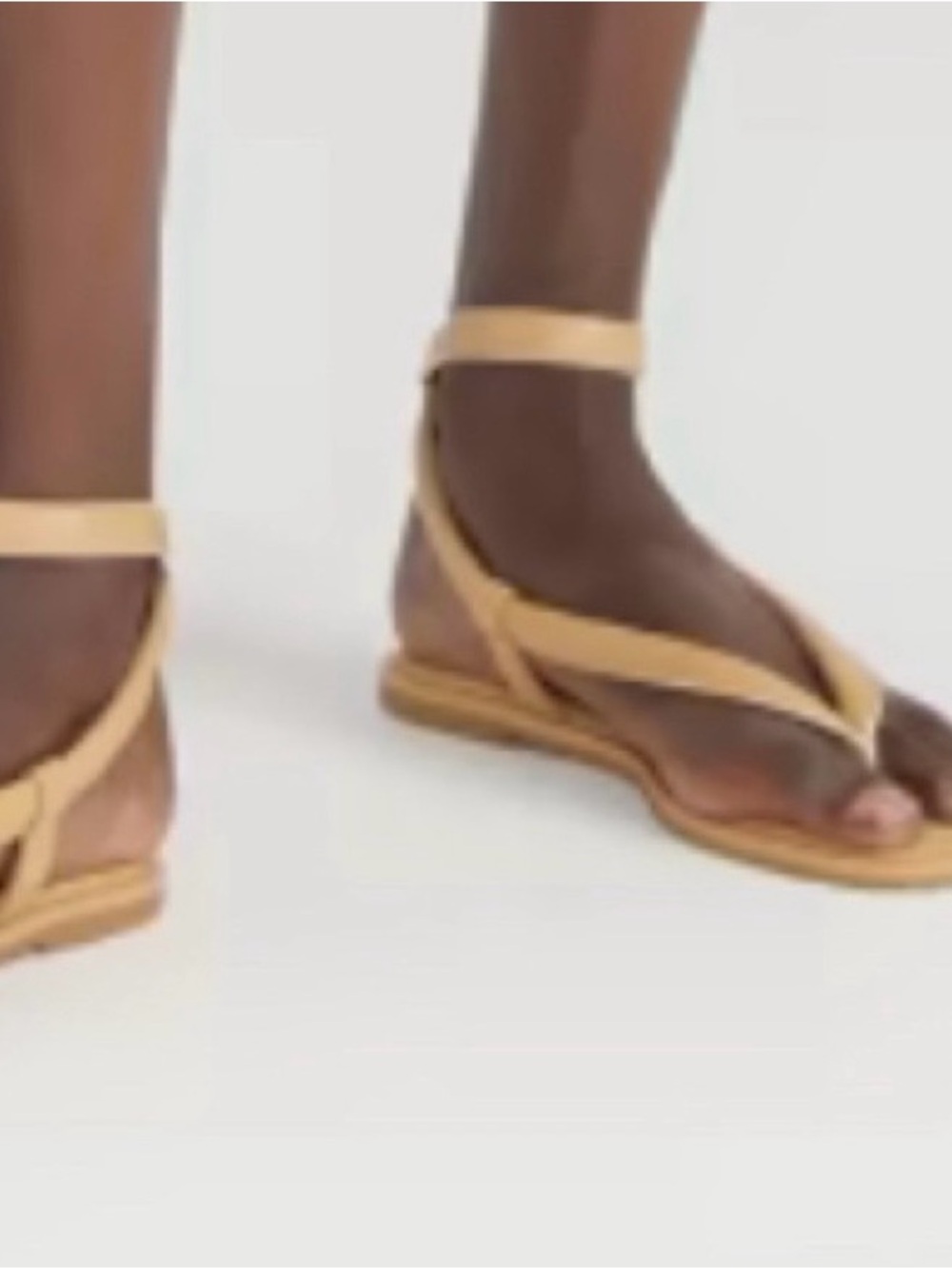 Everlane Endless Sumer Thong Sandals